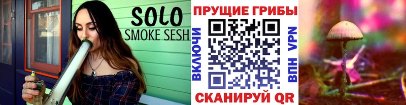 как найти закладки  Юрюзань  Псилоцибиновые грибы мицелий 